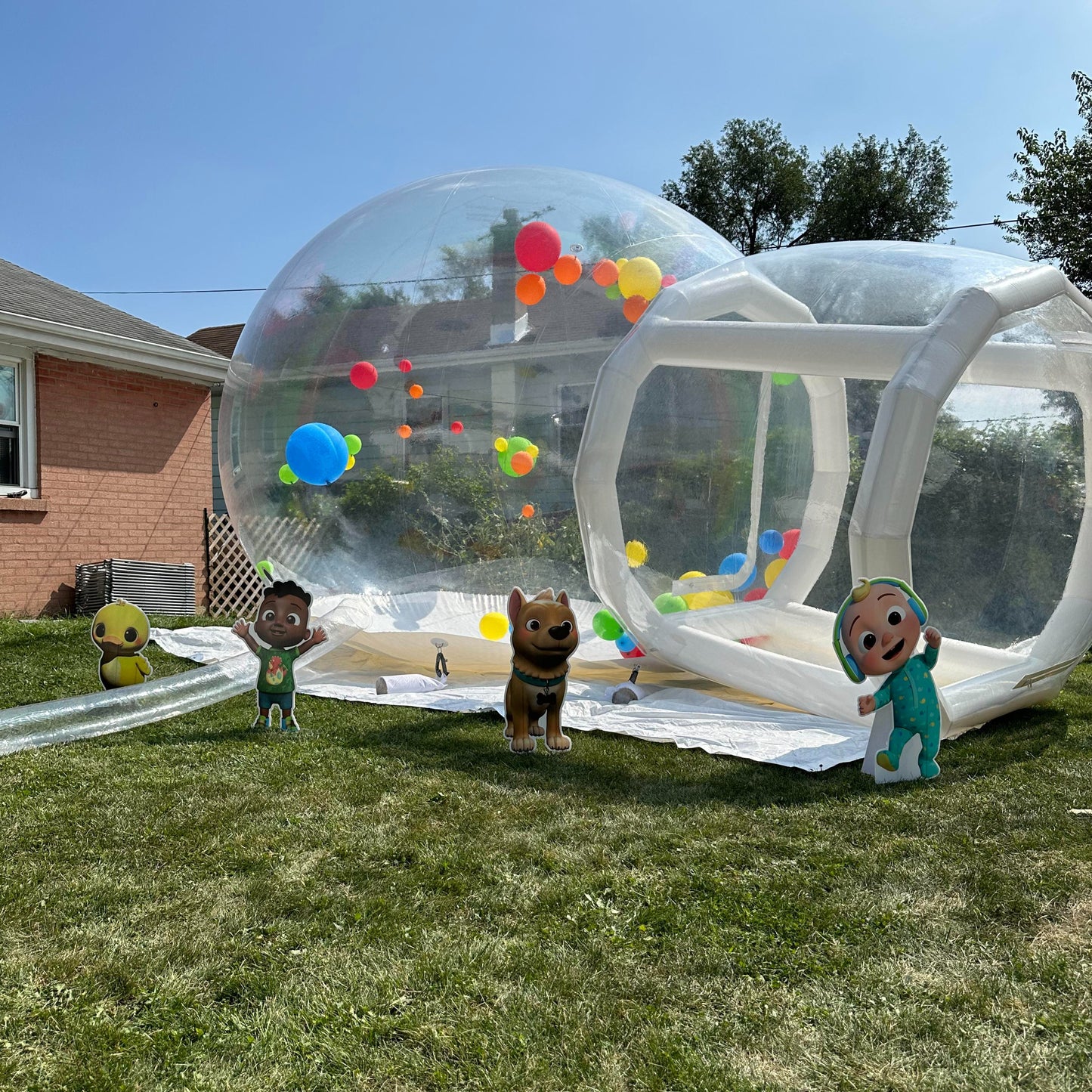 Bubble House